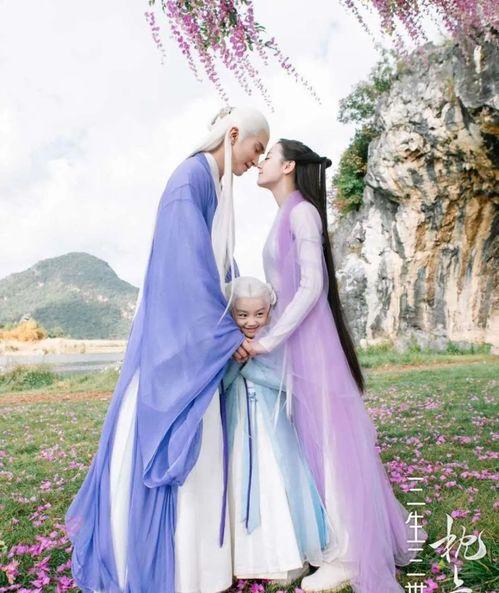 素问枕上书,探寻中医养生智慧之旅