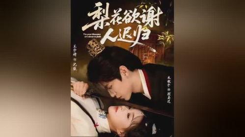 梨花欲谢人迟归,归期难觅——迟归人泪洒梨花时节