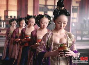 朕的宫女相当野,朕的宫女竟如此野性难驯