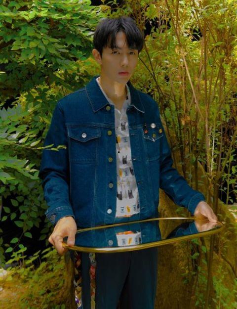 芭妮与哥哥们,温馨成长故事