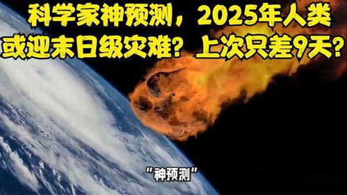 灾难 2025,回顾与反思