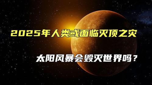 灾难 2025,回顾与反思